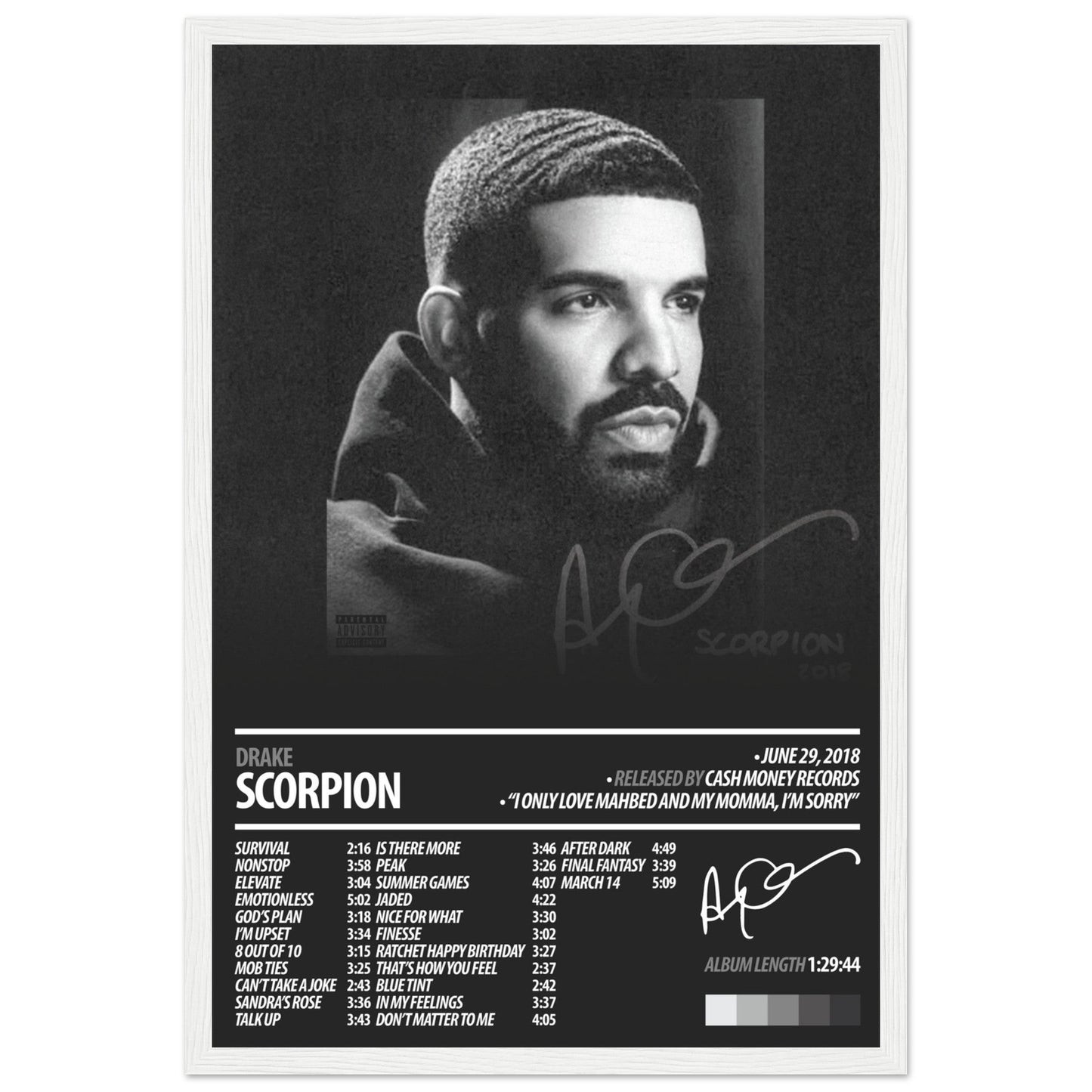 DRAKE Album Poster | Scorpion - ChordPrints
