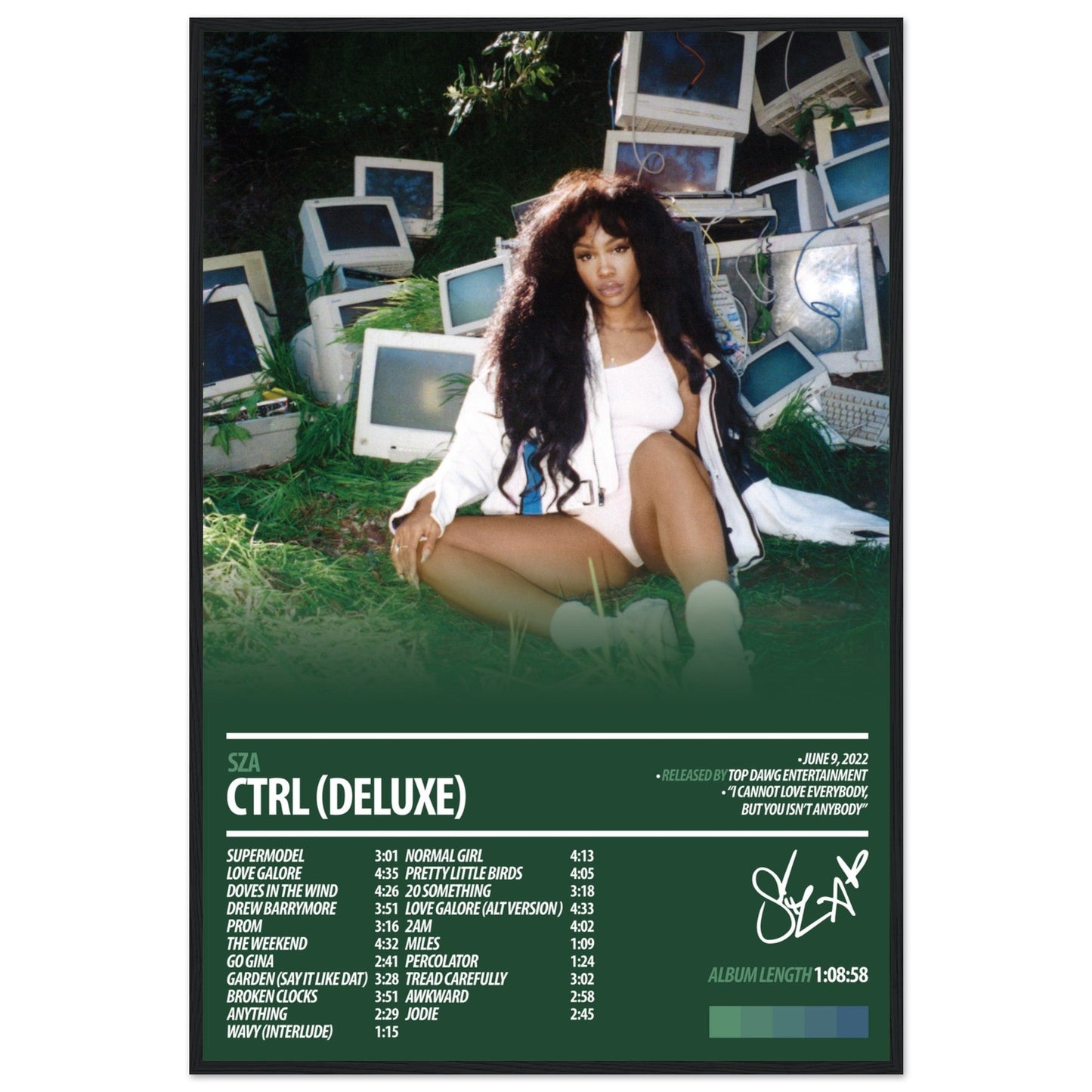SZA Album Poster | Ctrl Deluxe - ChordPrints