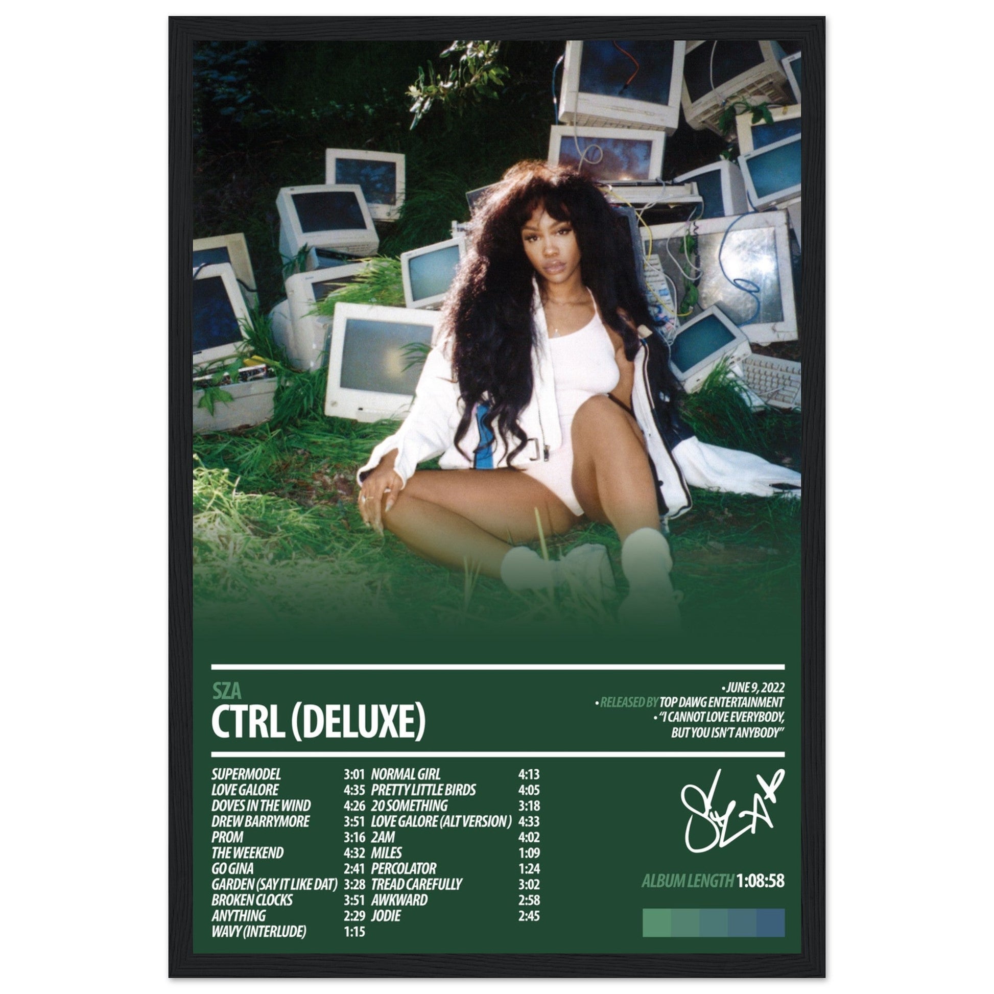 SZA Album Poster | Ctrl Deluxe - ChordPrints