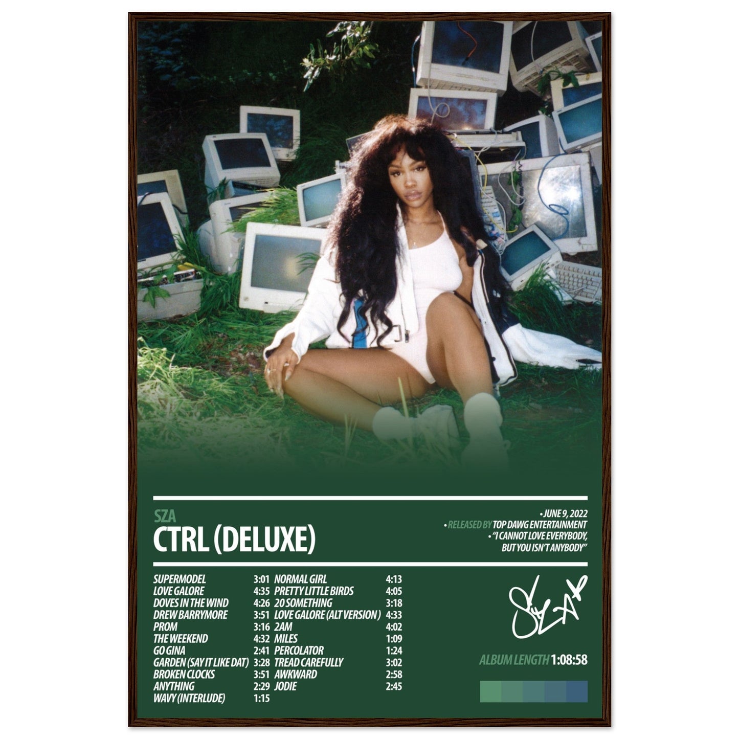 SZA Album Poster | Ctrl Deluxe - ChordPrints