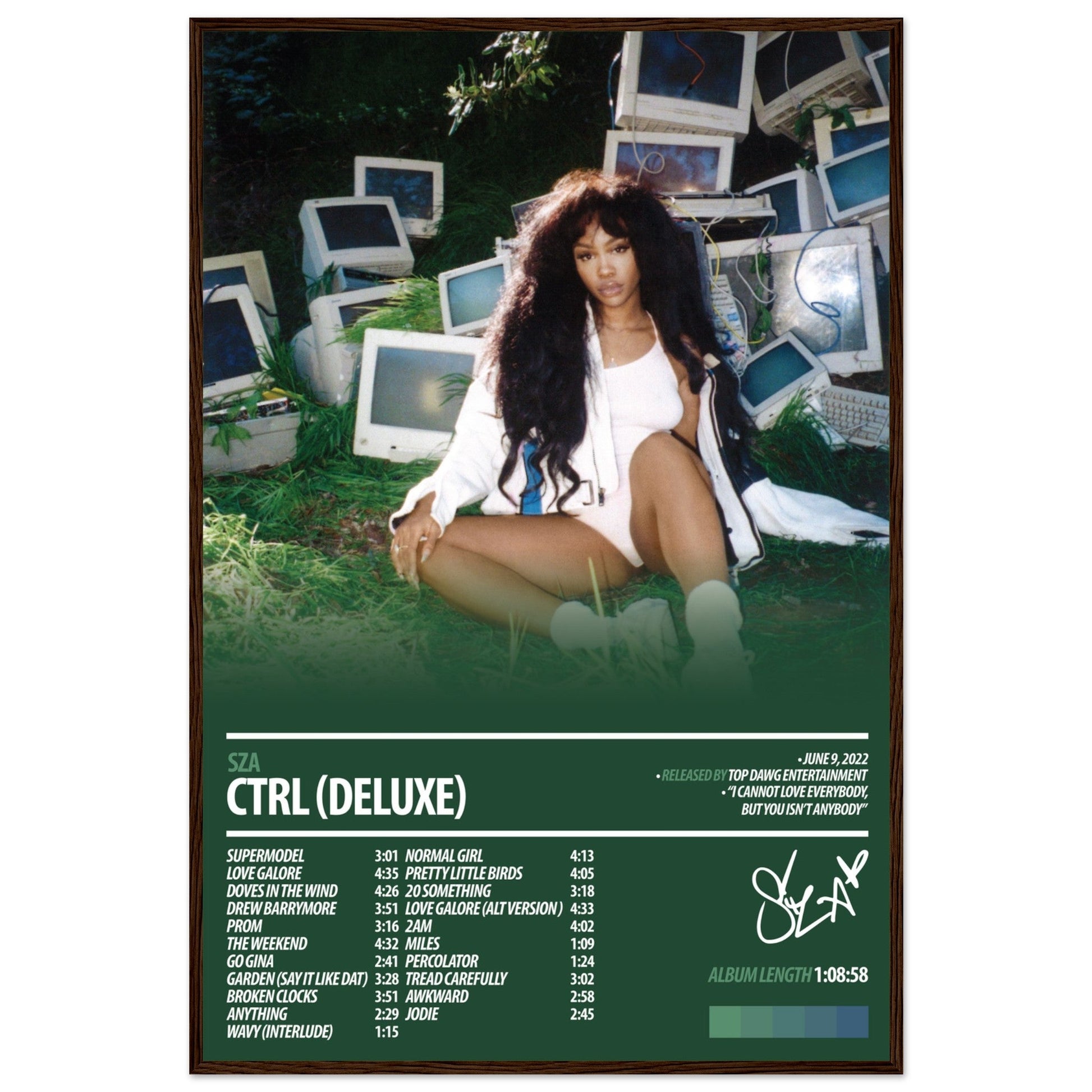 SZA Album Poster | Ctrl Deluxe - ChordPrints