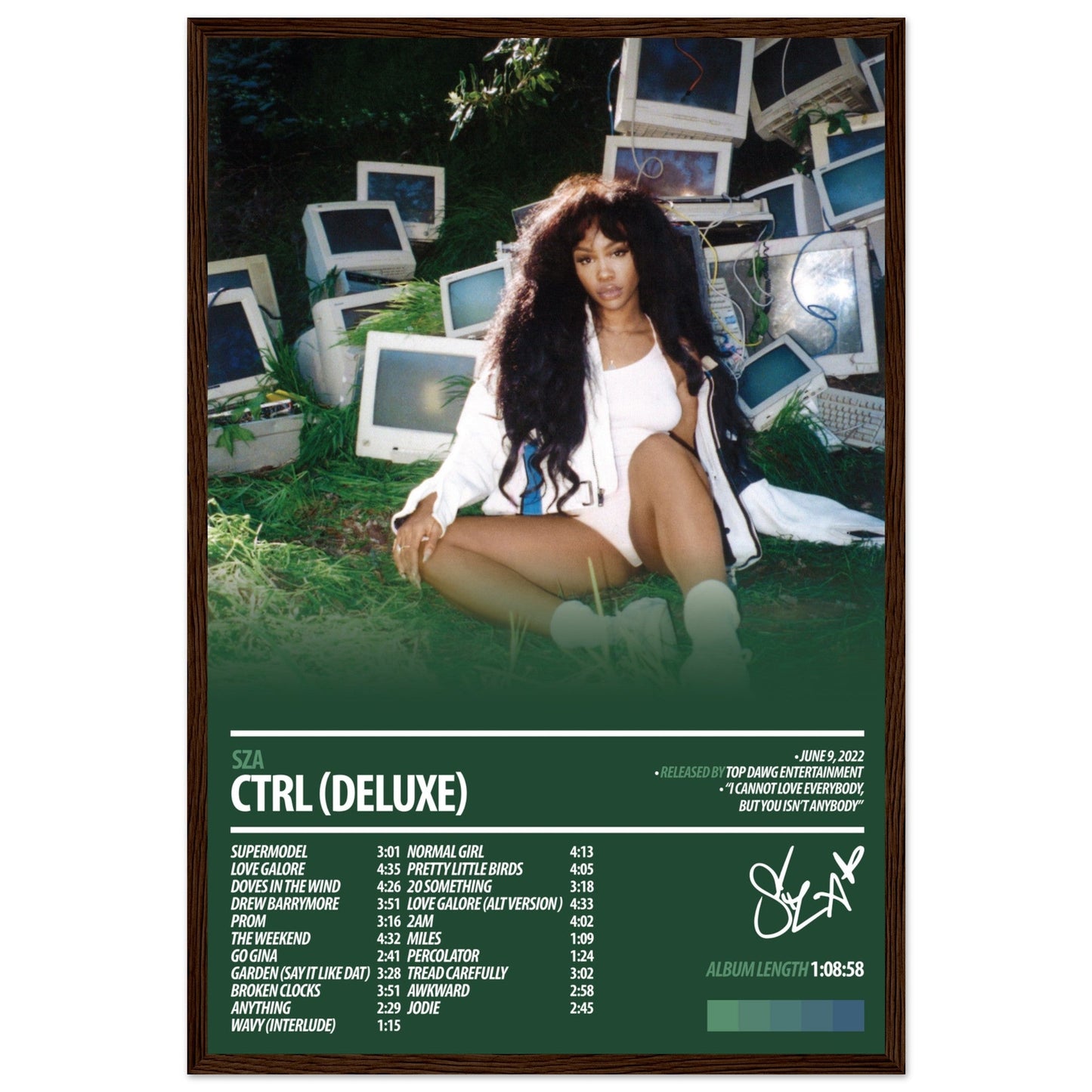 SZA Album Poster | Ctrl Deluxe - ChordPrints