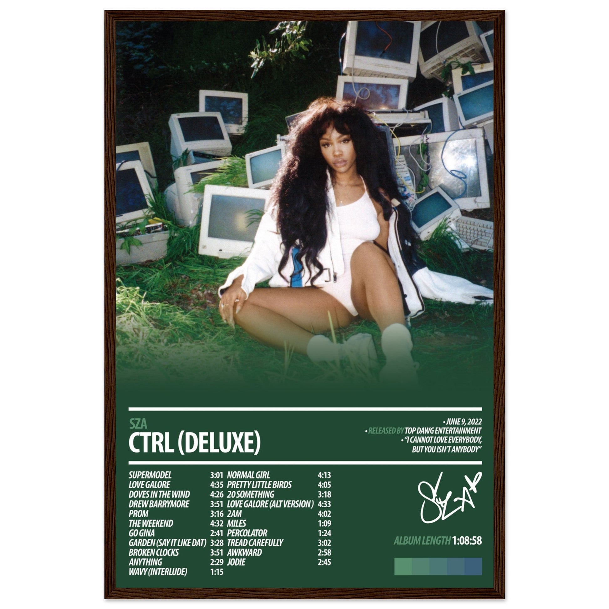 SZA Album Poster | Ctrl Deluxe - ChordPrints