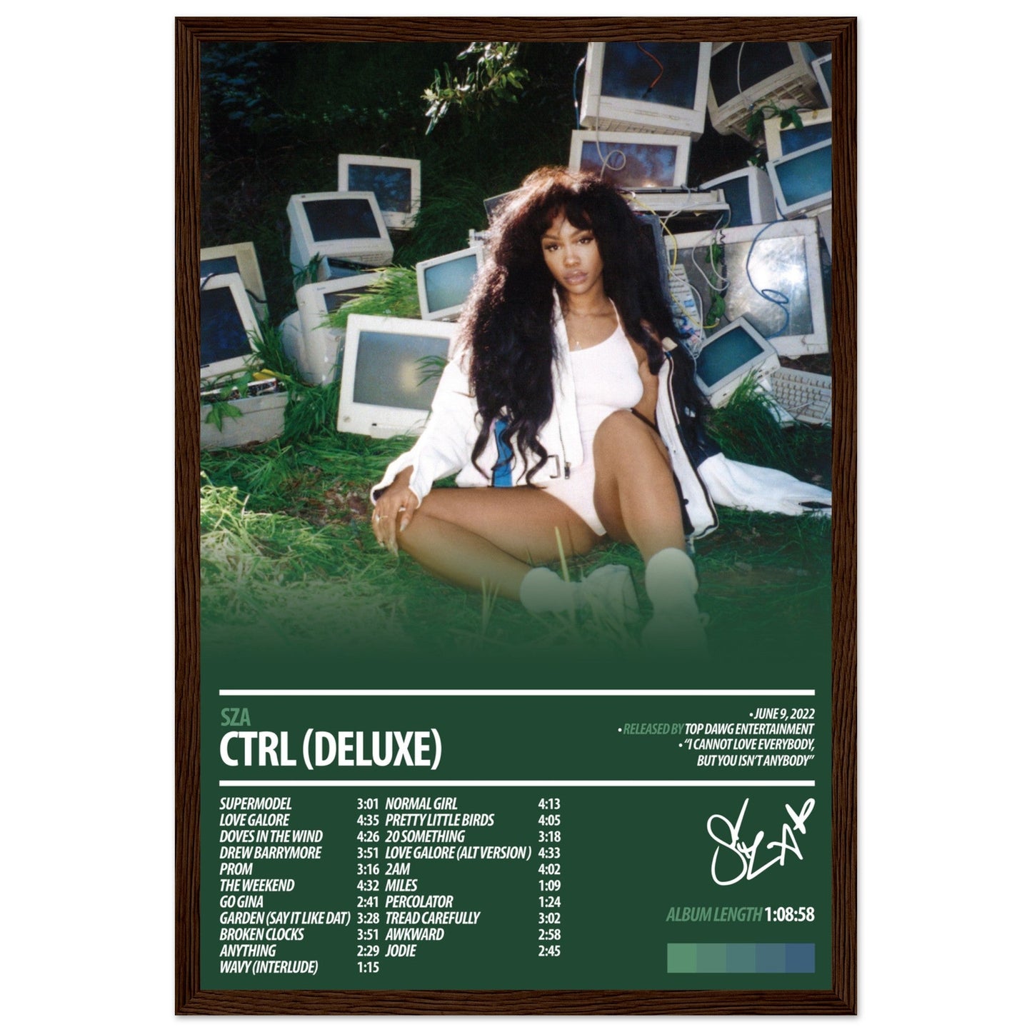 SZA Album Poster | Ctrl Deluxe - ChordPrints