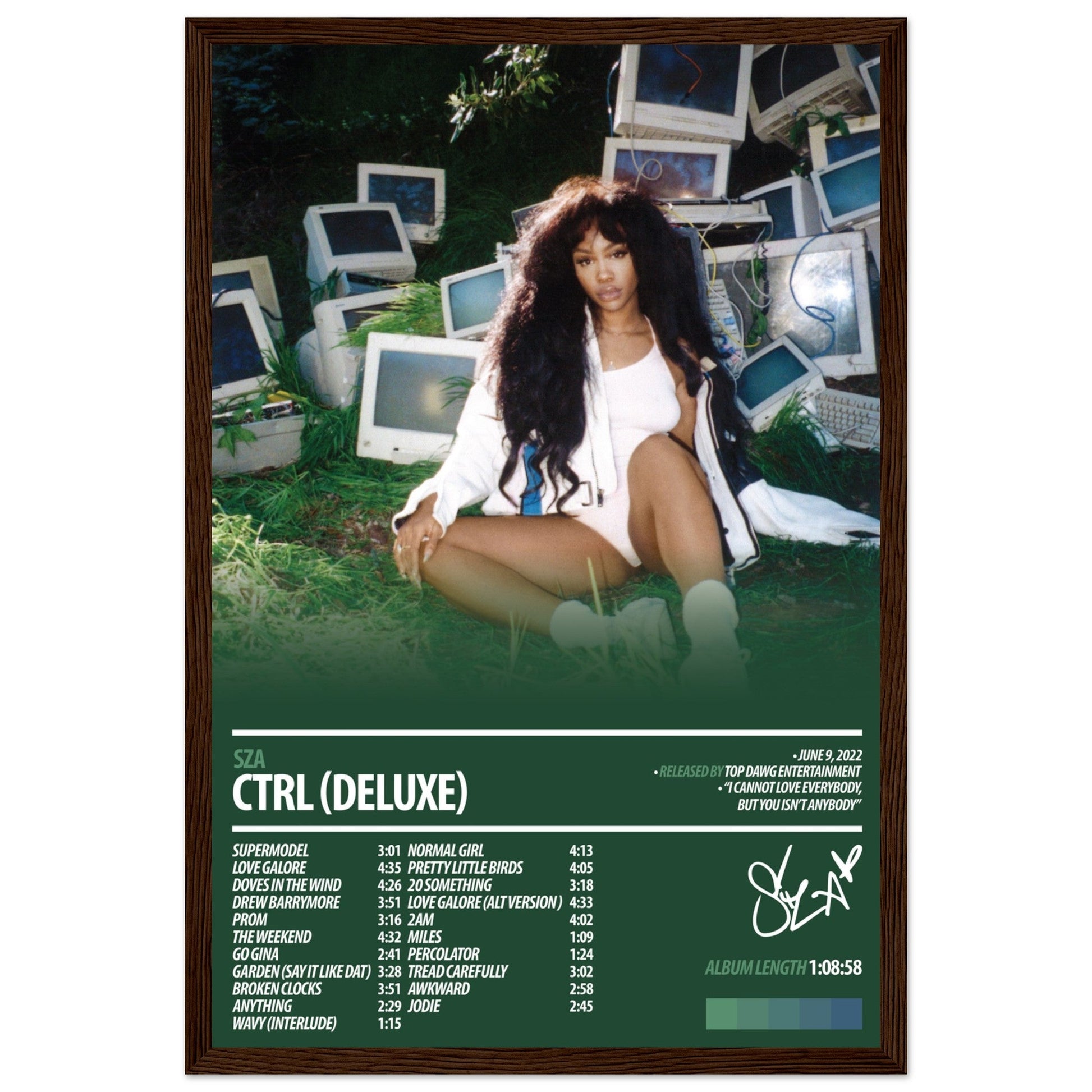 SZA Album Poster | Ctrl Deluxe - ChordPrints