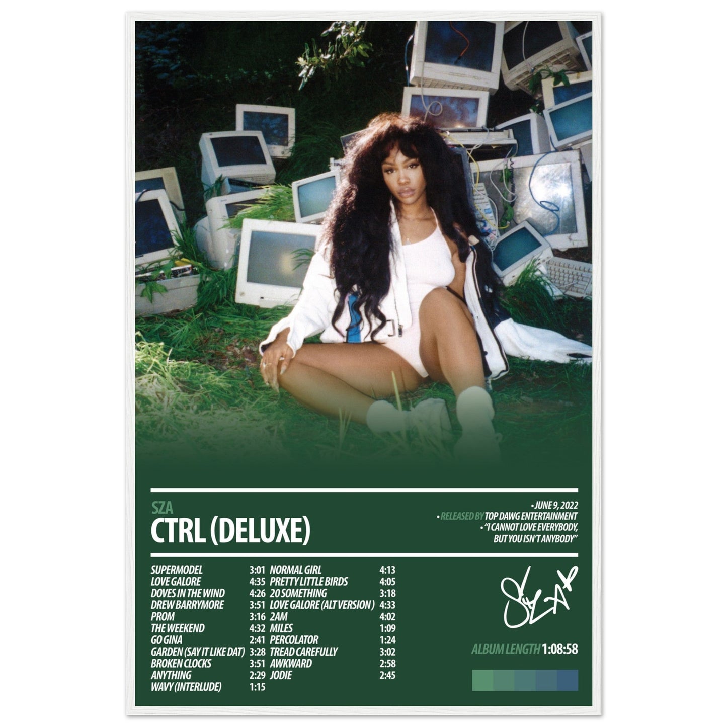 SZA Album Poster | Ctrl Deluxe - ChordPrints