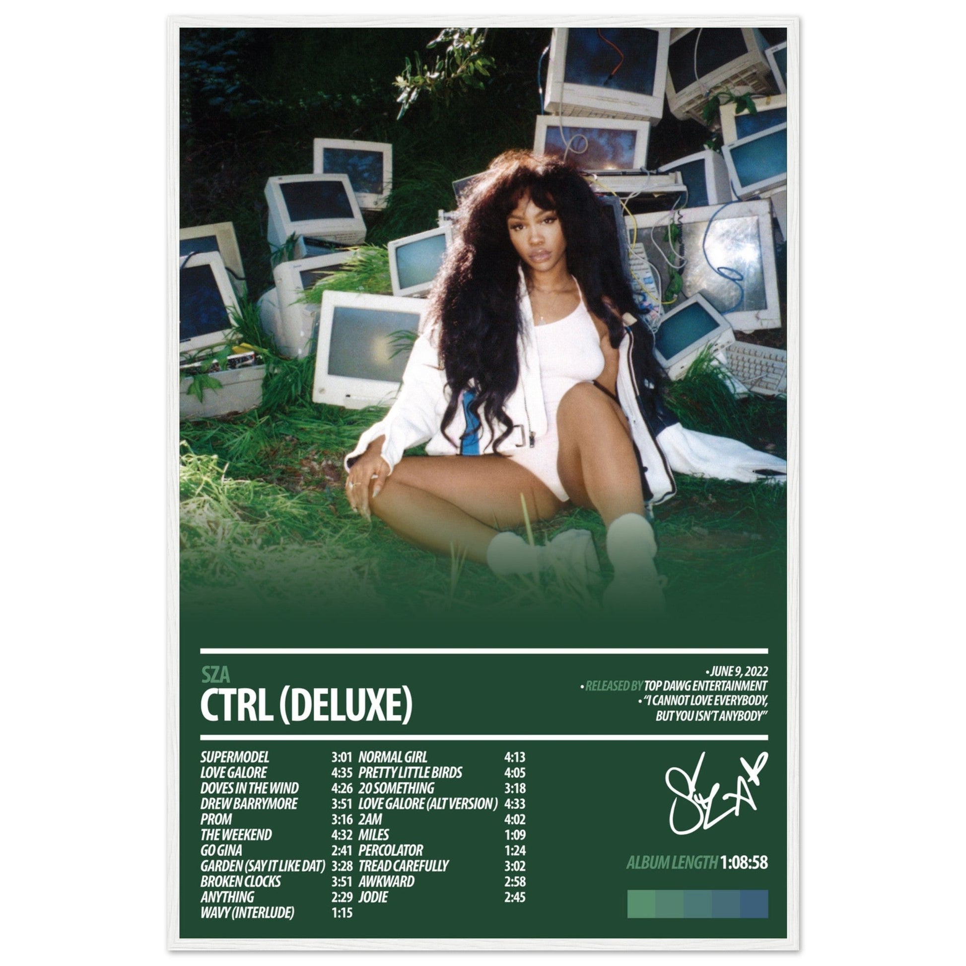 SZA Album Poster | Ctrl Deluxe - ChordPrints