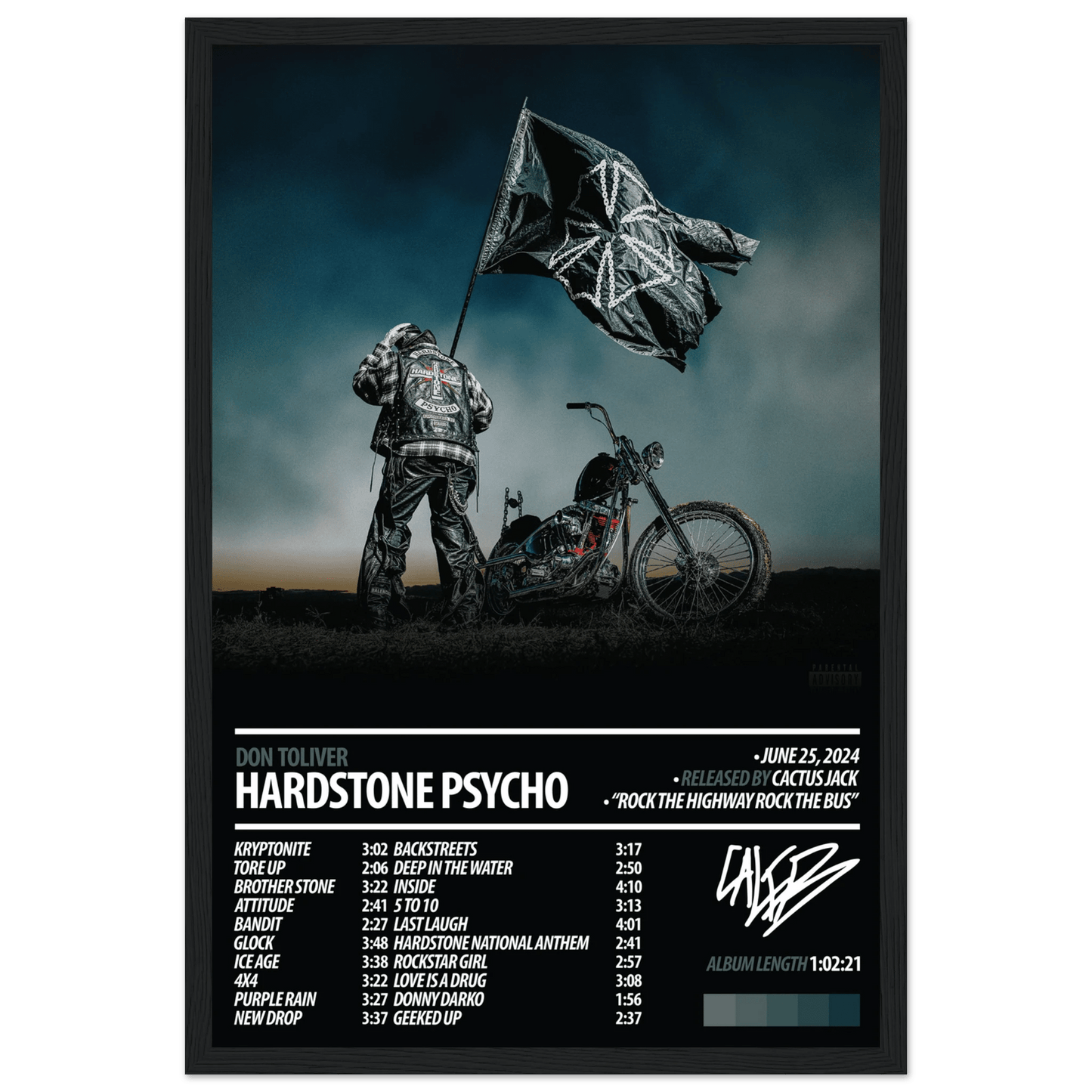 DON TOLIVER Album Poster | HARDSTONE PSYCHO - ChordPrints
